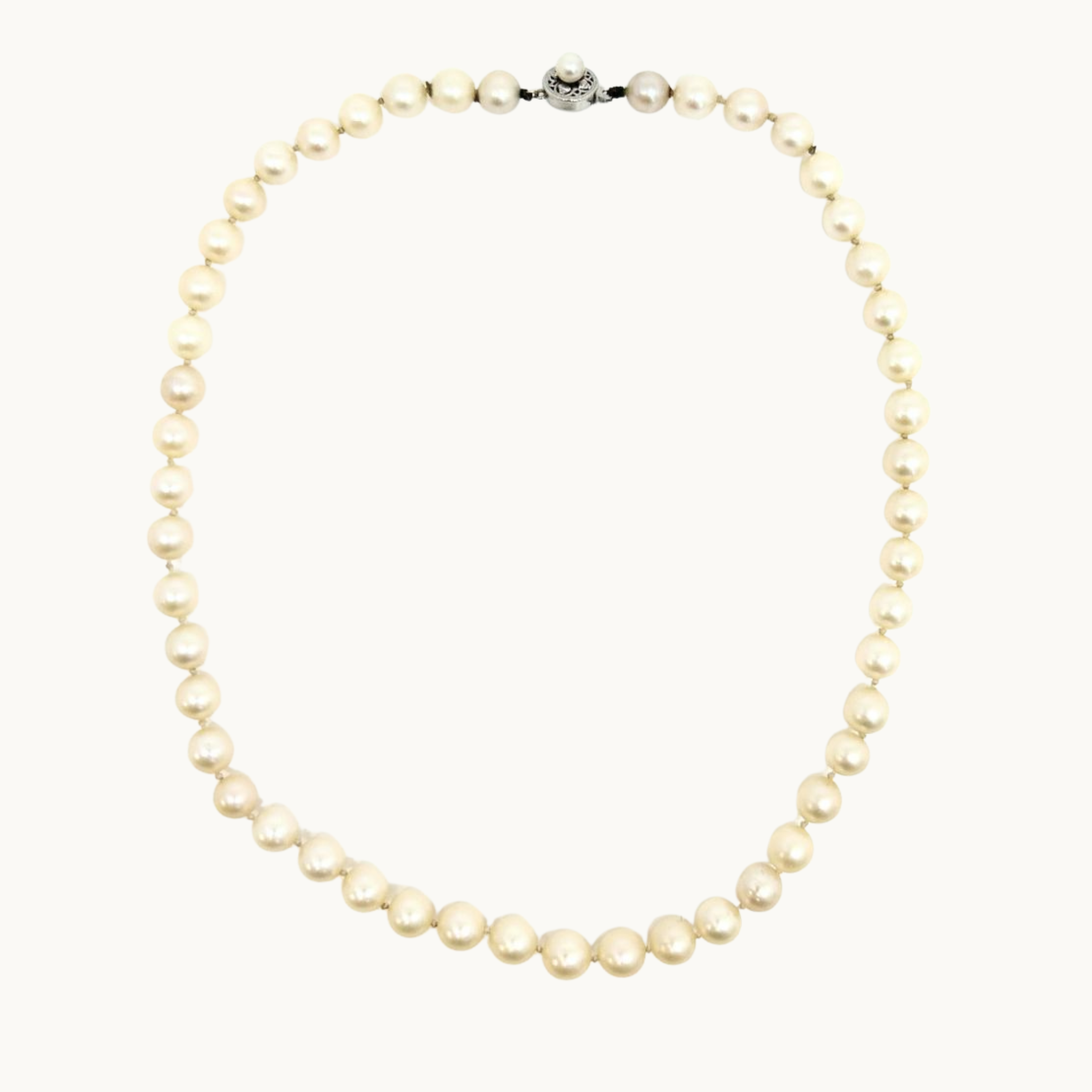 Short necklace of Akoya cultured pearls